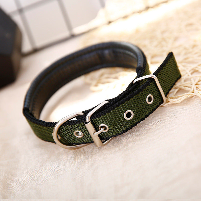 Pp Braid Lined Polypropylene Pet Foam Dog Collar
