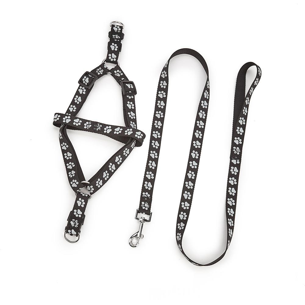 Nylon Medium-Sized Dog Leash