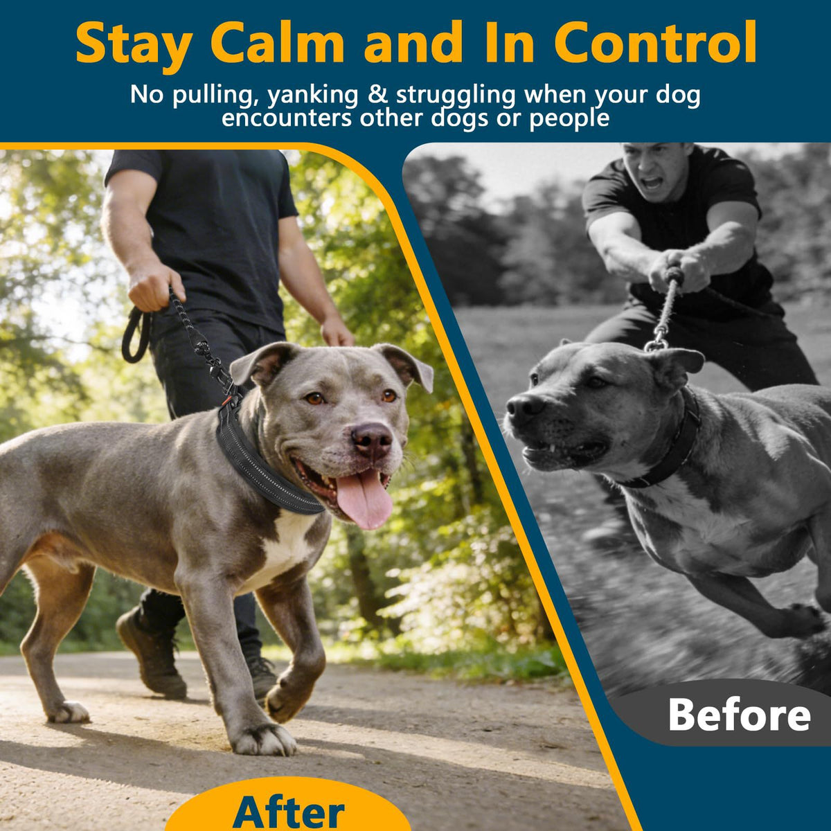 No-Pull Martingale Dog Training Collar