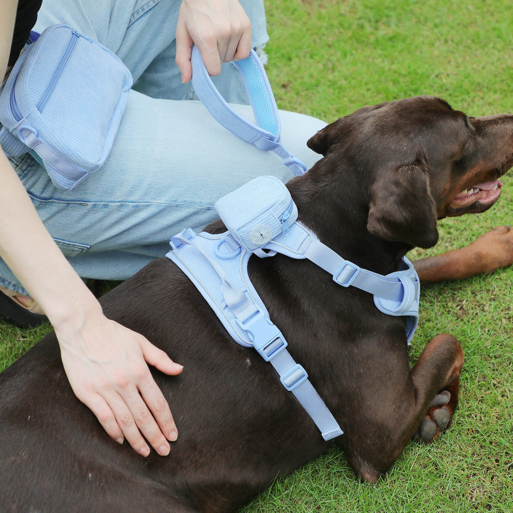 Hand Holding Rope Explosion-Proof Chest Back Suit Widened Pet Collar Mini Schoolbag Dog Stool Bag