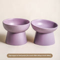 Anti-Tumble Pet Goblet Rice Bowl
