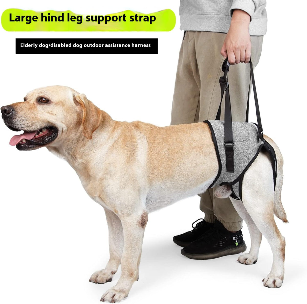 Cross-Border Hot Selling Pet Supplies Injured Dog Rear Leg Auxiliary Back