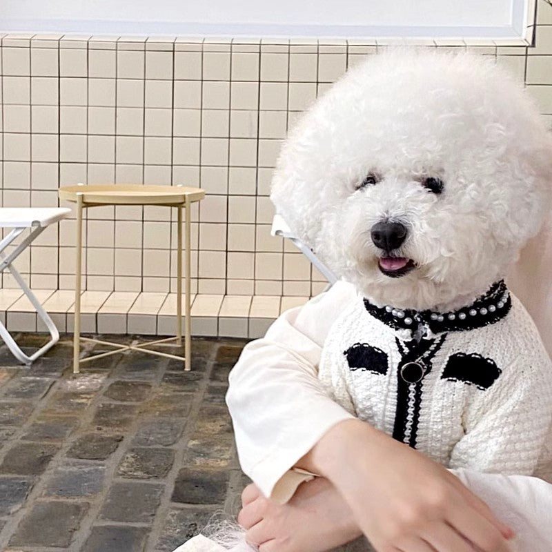 Korean Style Pearl Collar Puppy Sweater