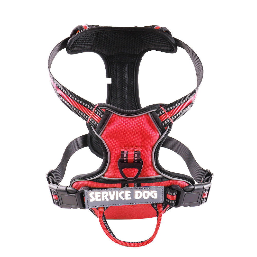 Personalized Oxford Dog Back Strap