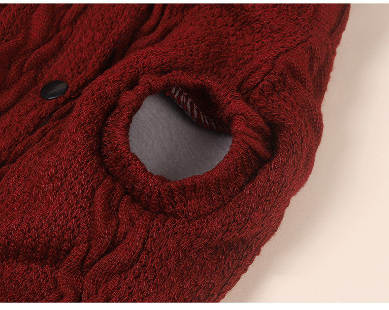 Pet Clothes Dog Wool Plus Velvet To Keep Warm Small And Medium Personality Trends
