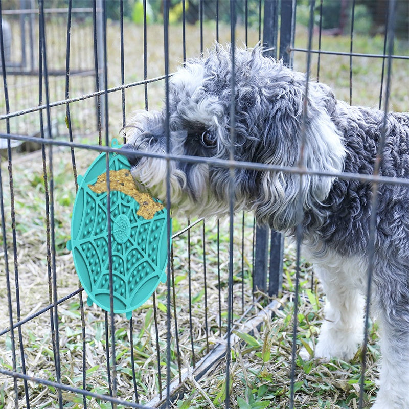 New Multi-Functional Suction-Cup Feeder