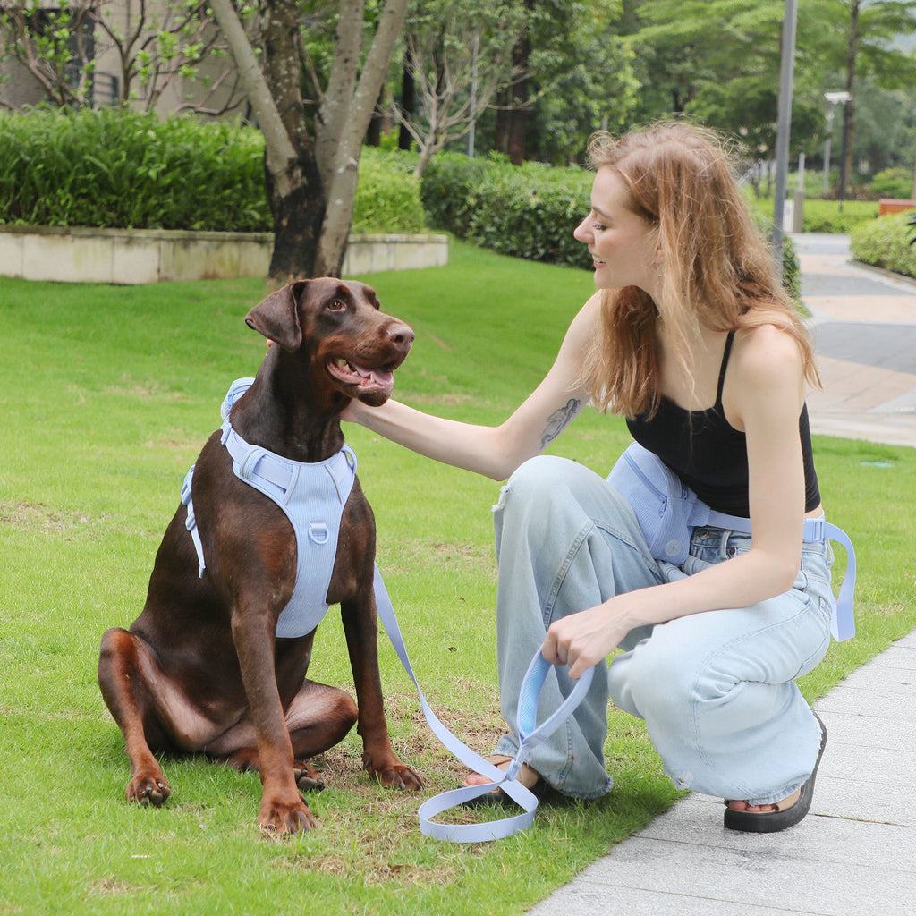 Hand Holding Rope Explosion-Proof Chest Back Suit Widened Pet Collar Mini Schoolbag Dog Stool Bag