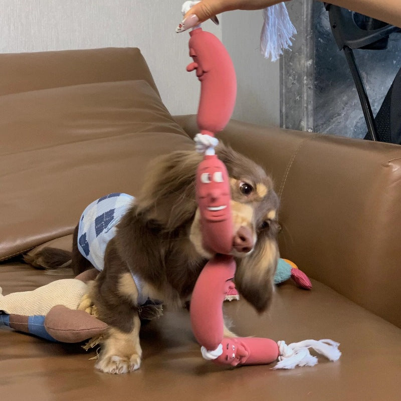 Dog Hand Holding Rope A Bunch Of Big Sausage