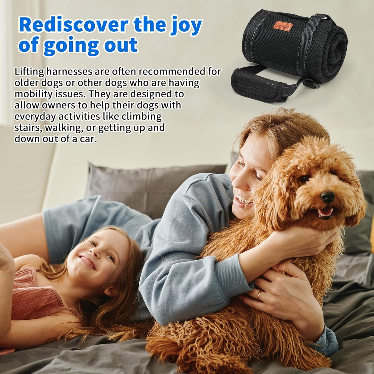 Portable Dog Sling For Hind Legs And Buttocks To Help Lift The Back For Canine Assisted Old Cruciate Ligament Rehabilitation