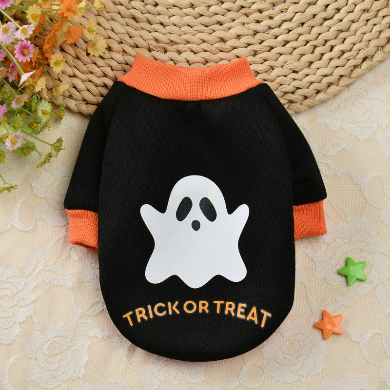 Halloween Pumpkin Skull Small Dog Sweater