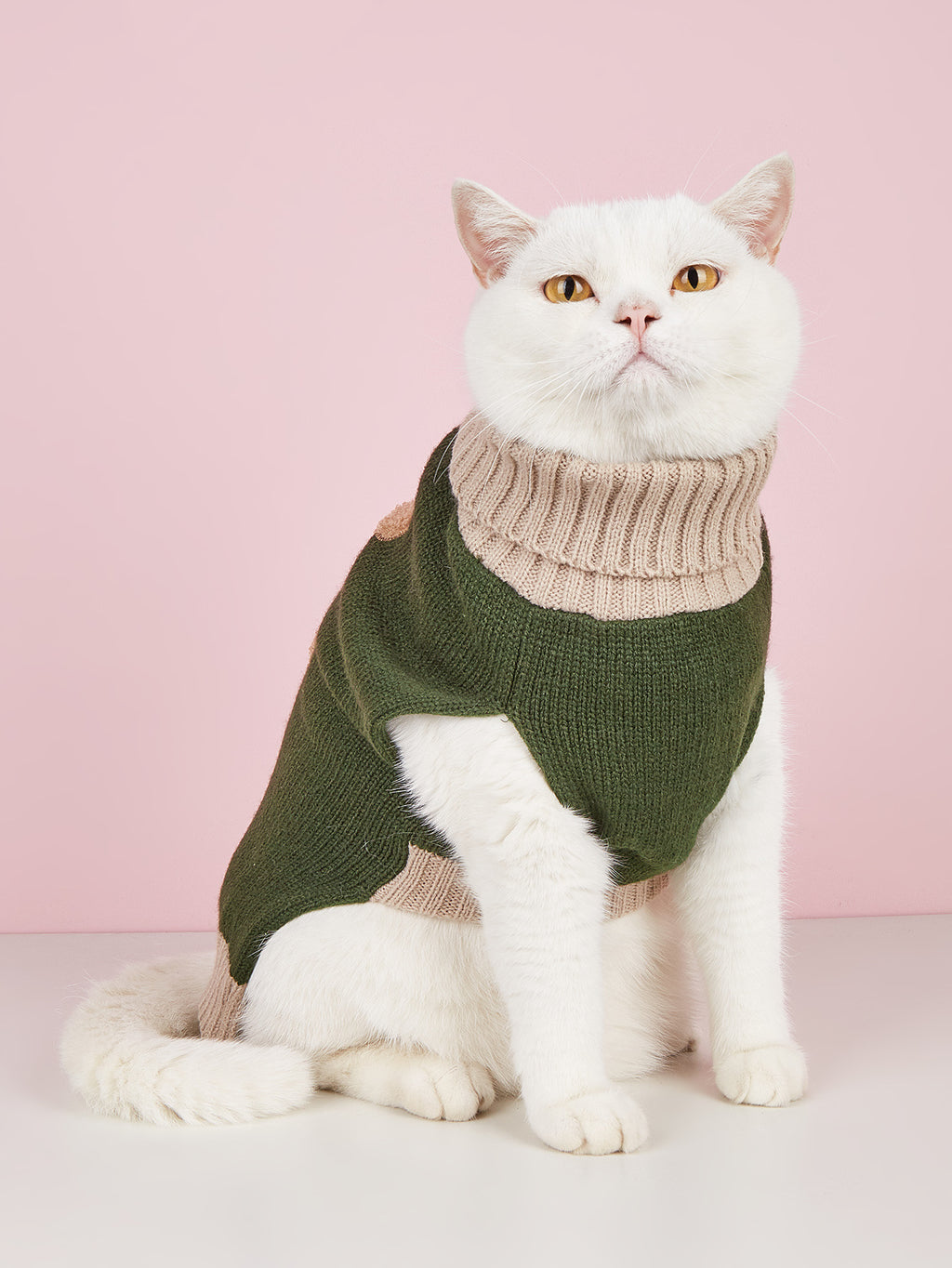 Army Green Bear Dog Sweater