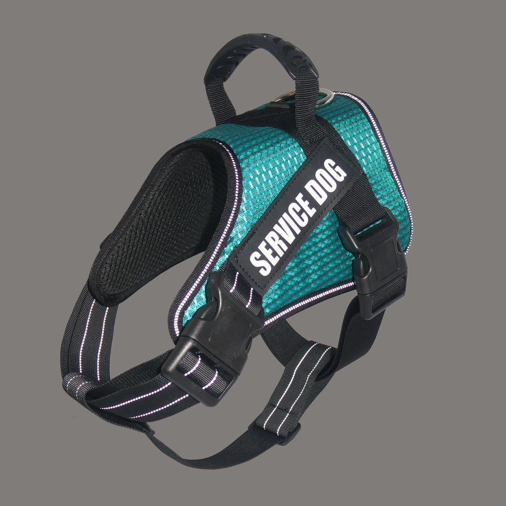 Custom Pet Harness