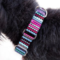 Cushioned Lazy Dog Walking Collar