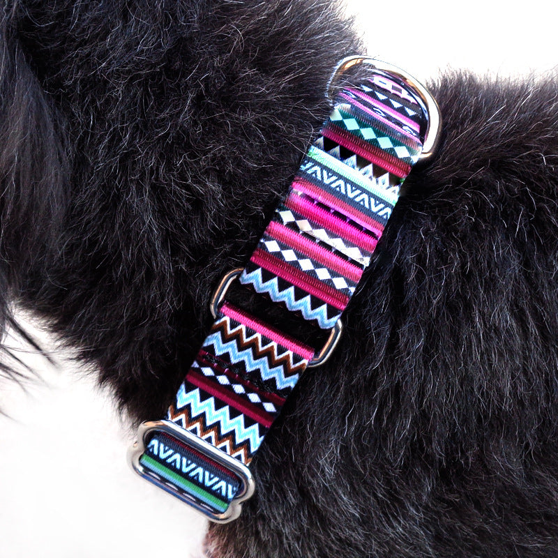 Cushioned Lazy Dog Walking Collar