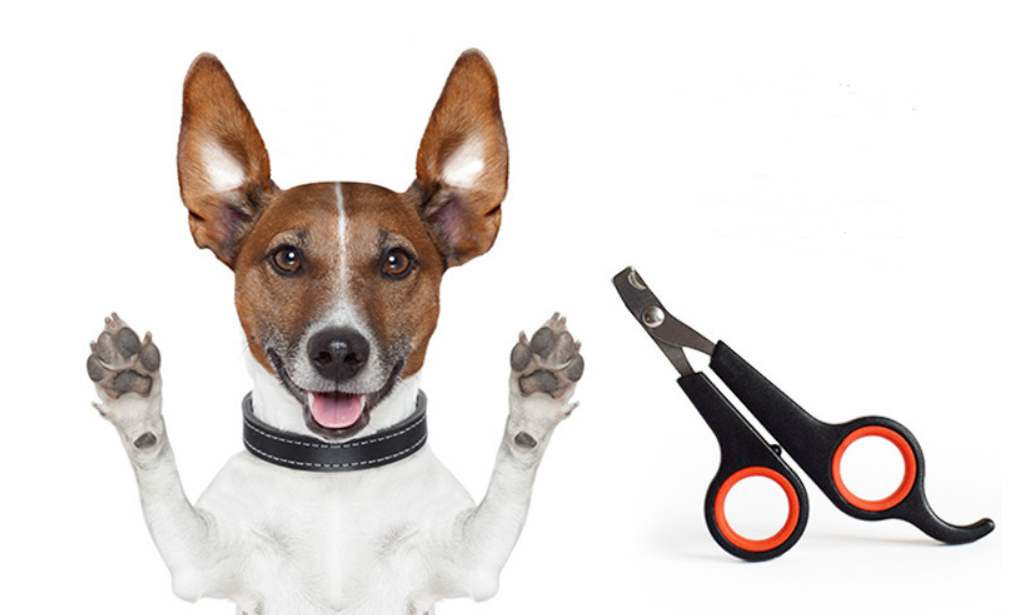 Dog Nail Clipper Scissors