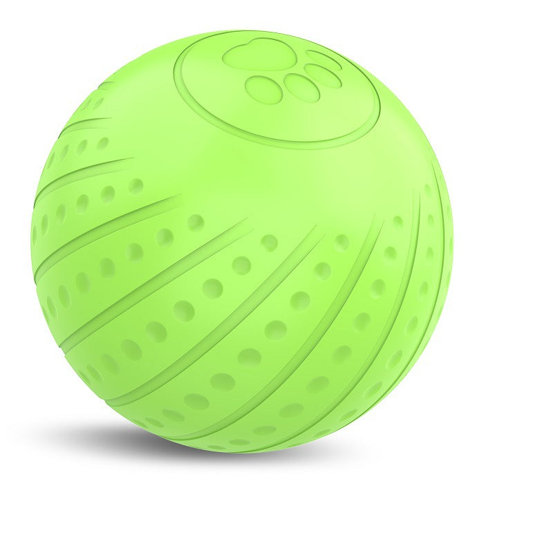 Bite-Resistant Pet Toy Automatic Dog Toy Ball