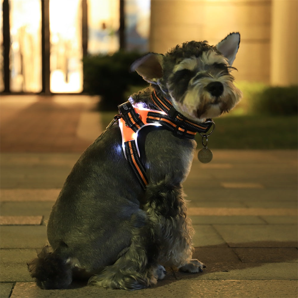 Glowing LED Dog Collar