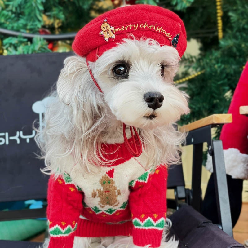 Christmas Wool Dog Sweater