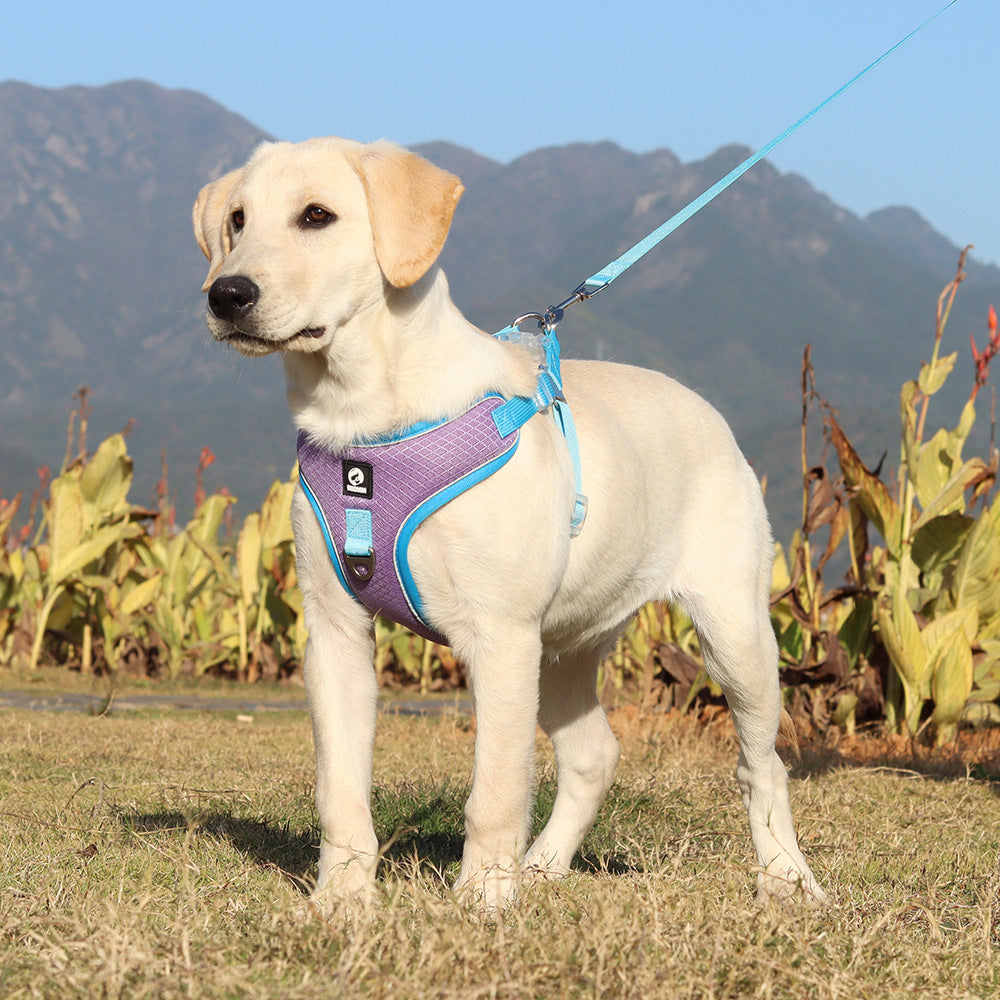 Breathable Adjustable Pet Harness And Leash