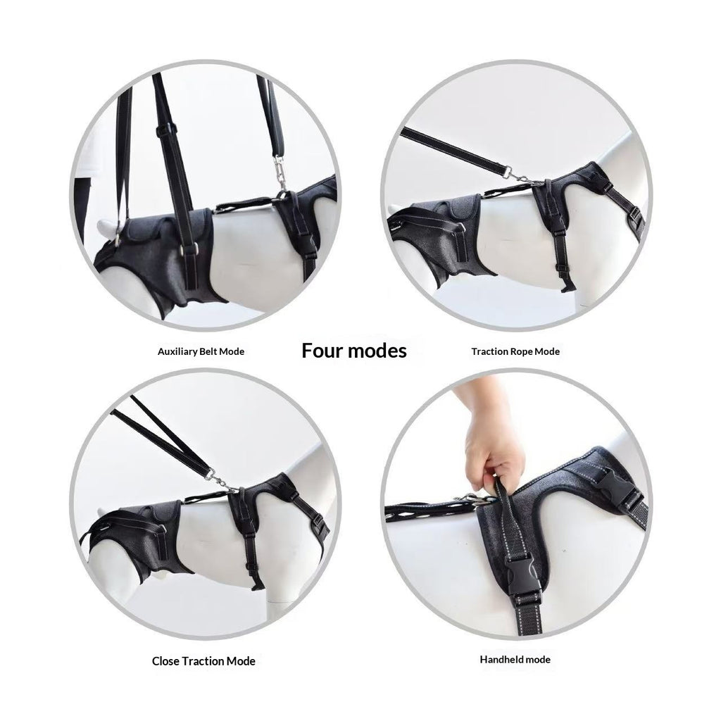Adjustable Pet Auxiliary Belt for Senior Dogs