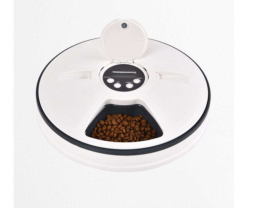 Automatic Timed Pet Feeder
