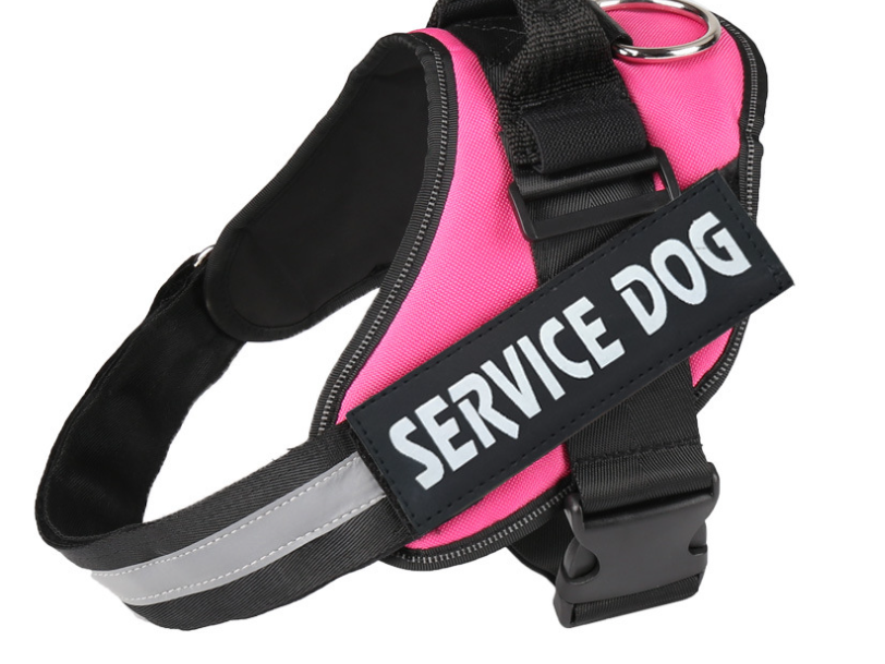 Dog Name Sticker