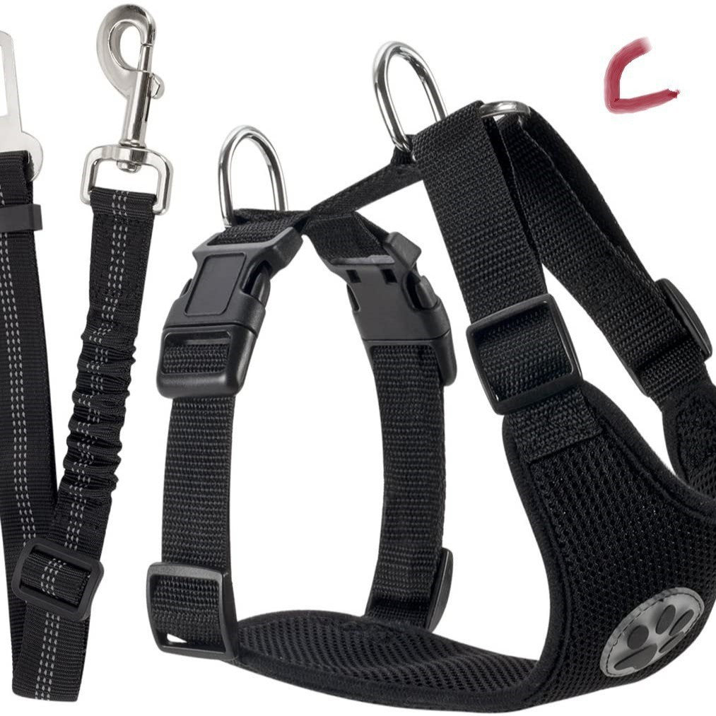 Reflective Dog Leash and Harness