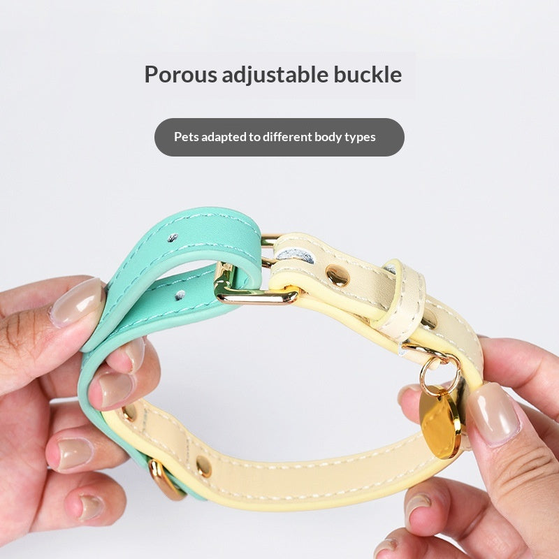 Leather Pet Collar For Small And Medium-Sized Dogs