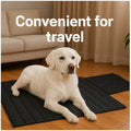 Portable Outdoor Waterproof Dog Mat and Cushion