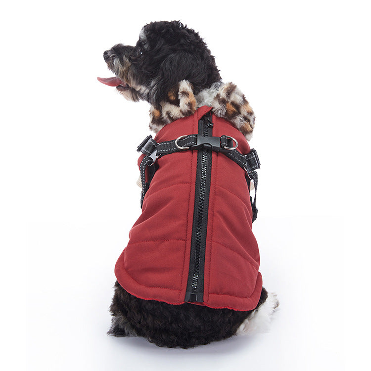 Winter Cashmere Dog Jacket