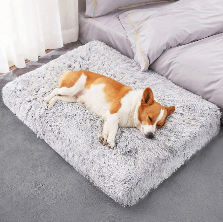 Plush Square Memory Foam Dog Bed
