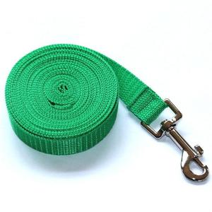 Nylon 2.5Cm Wide Dog Leash