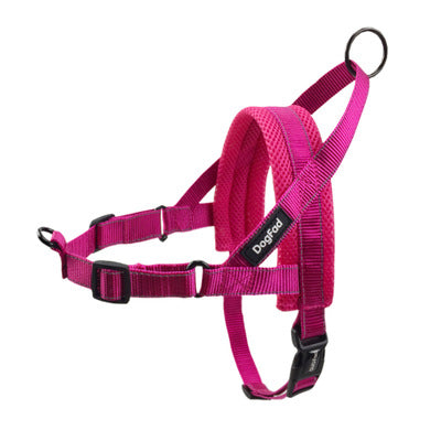 Adjustable Dog Harness and Leash Set