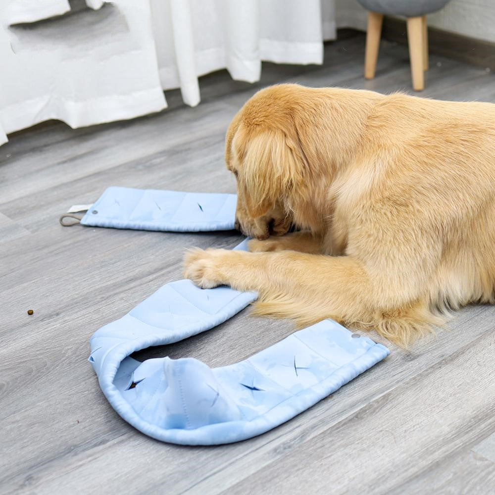 New Dog Smell With Dog Training Supplies