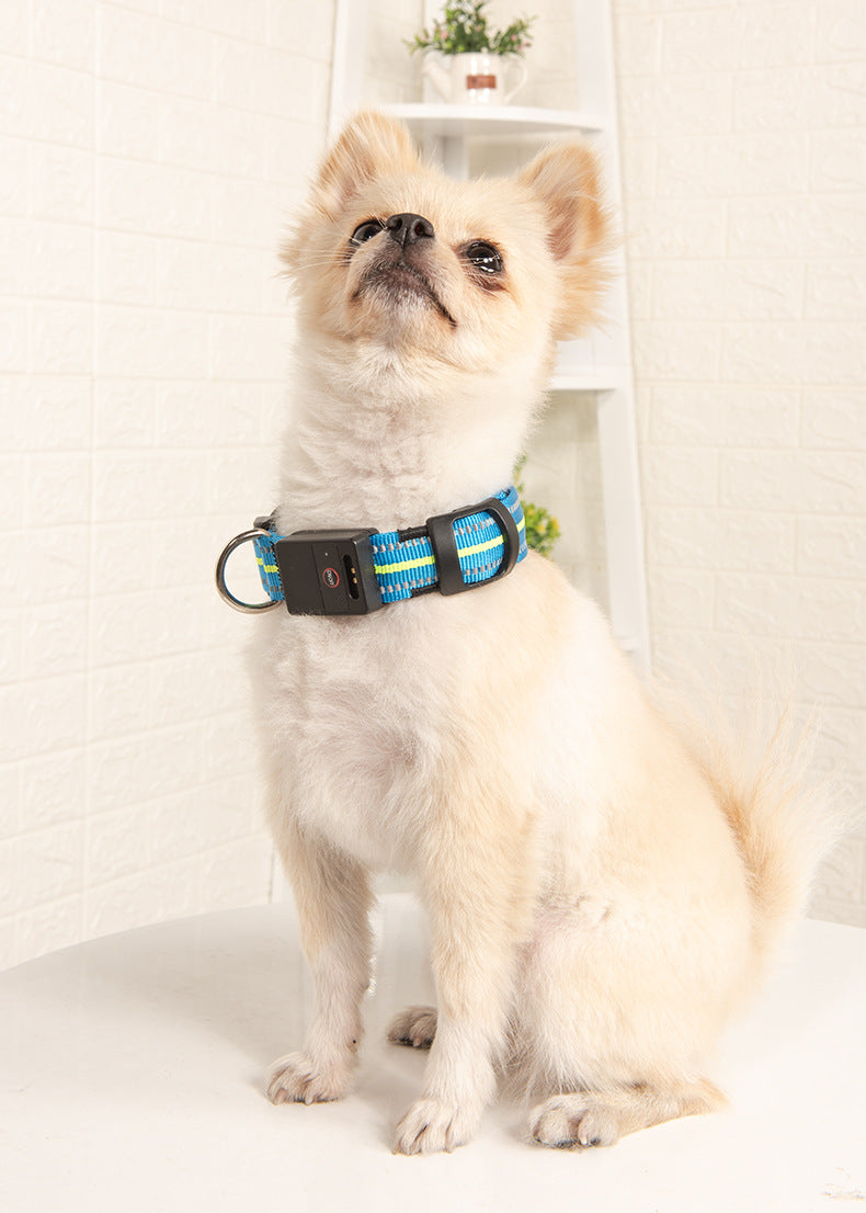 Pet Dog Glowing Collar