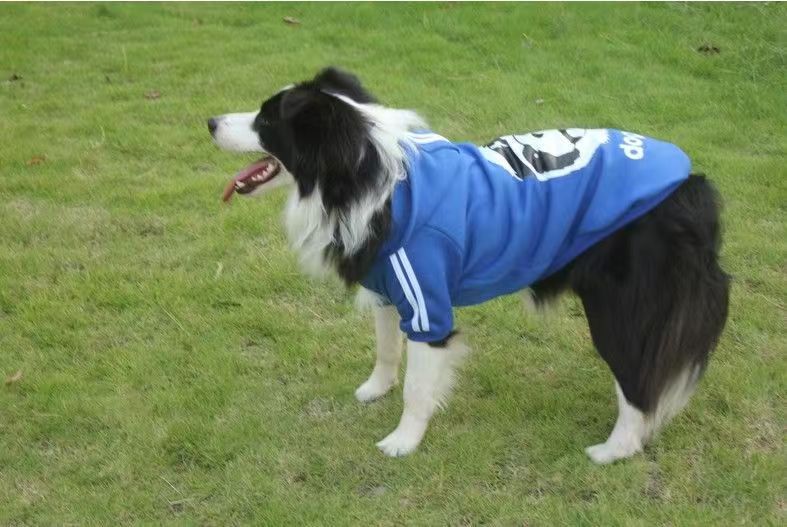 Two-Legged Sweatshirt for Medium and Large Dogs