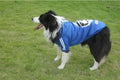 Two-Legged Sweatshirt for Medium and Large Dogs