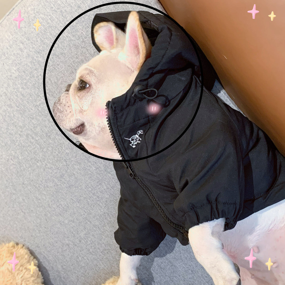 Autumn Winter Thickened Cotton Dog Clothes