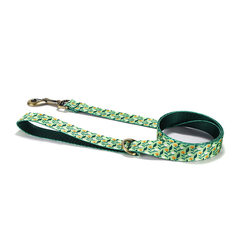 Pet Leash With Nylon-Like Webbing