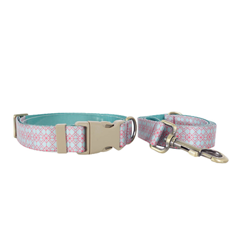 Pet Training Collar And Leash Set
