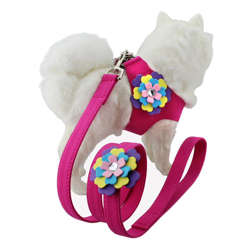 Velvet Flower Pet Chest Harness Traction Rope