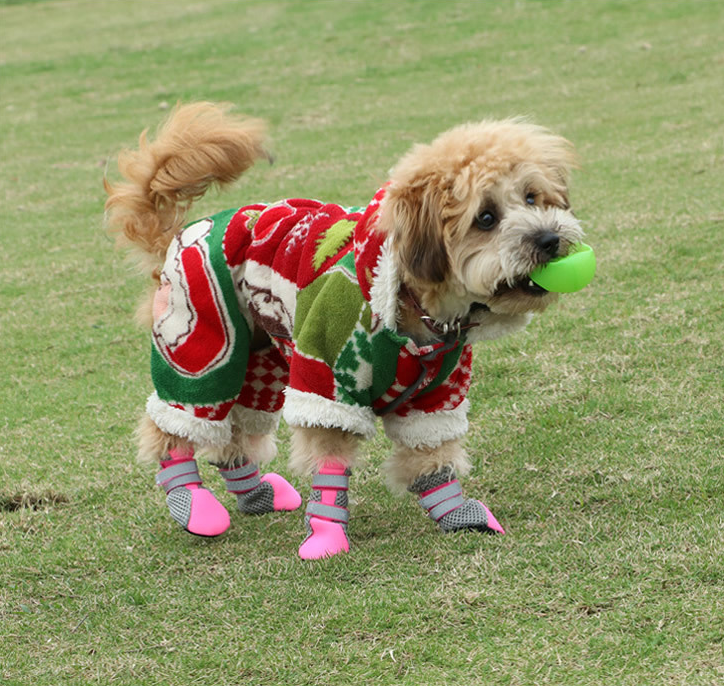 Dog Walking Shoes Set