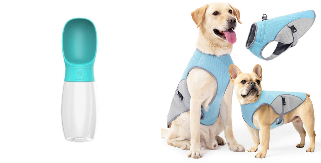 Pet Portable Cup Outdoor Water Feeding Light Type Kettle