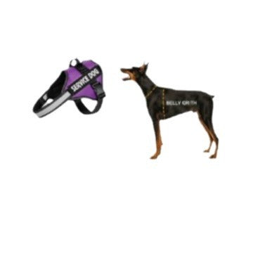 Vest Harness for Medium to Large Dogs