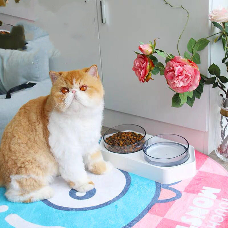 Hexagonal Inclined Bowl Pet Bowl