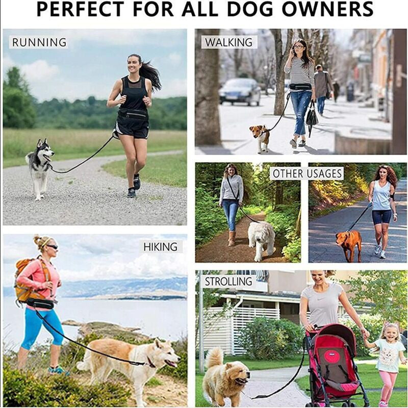 Nylon Pet Purse Leash