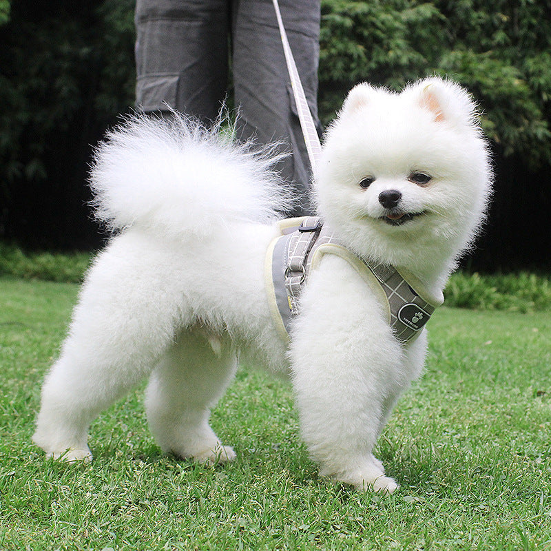 Reflective Dog Leash for Night Walks