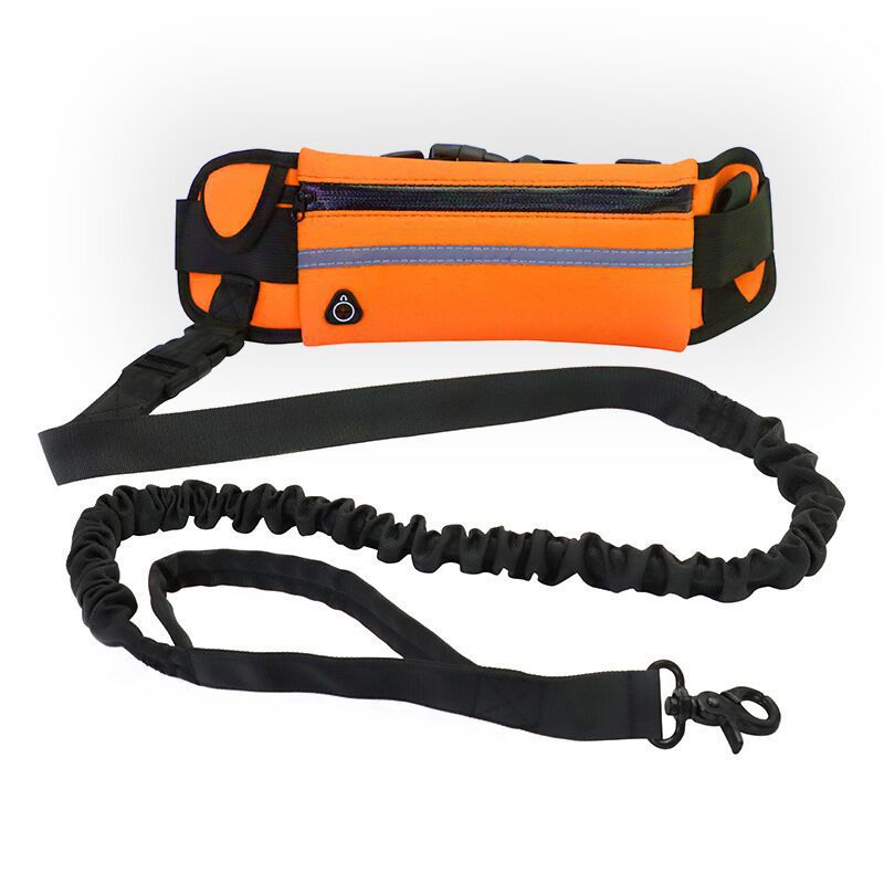 Nylon Pet Purse Leash