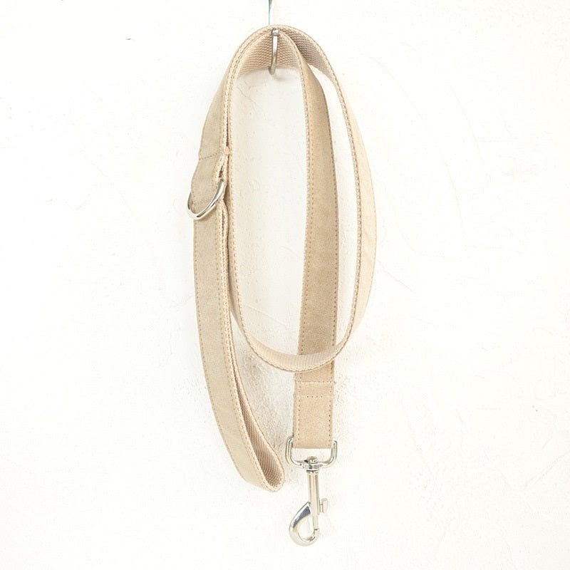 Dog Collar Traction Rope