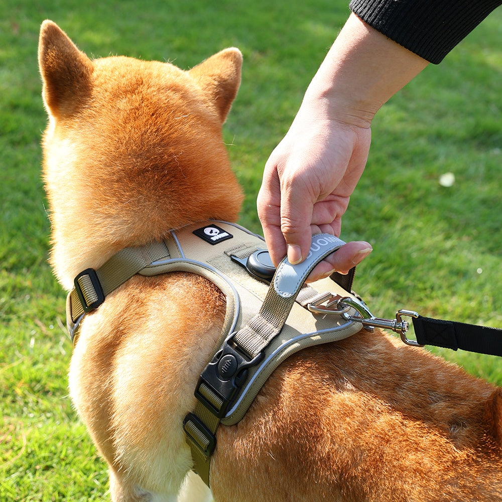 Vest-Style Dog Harness for Medium to Large Dogs